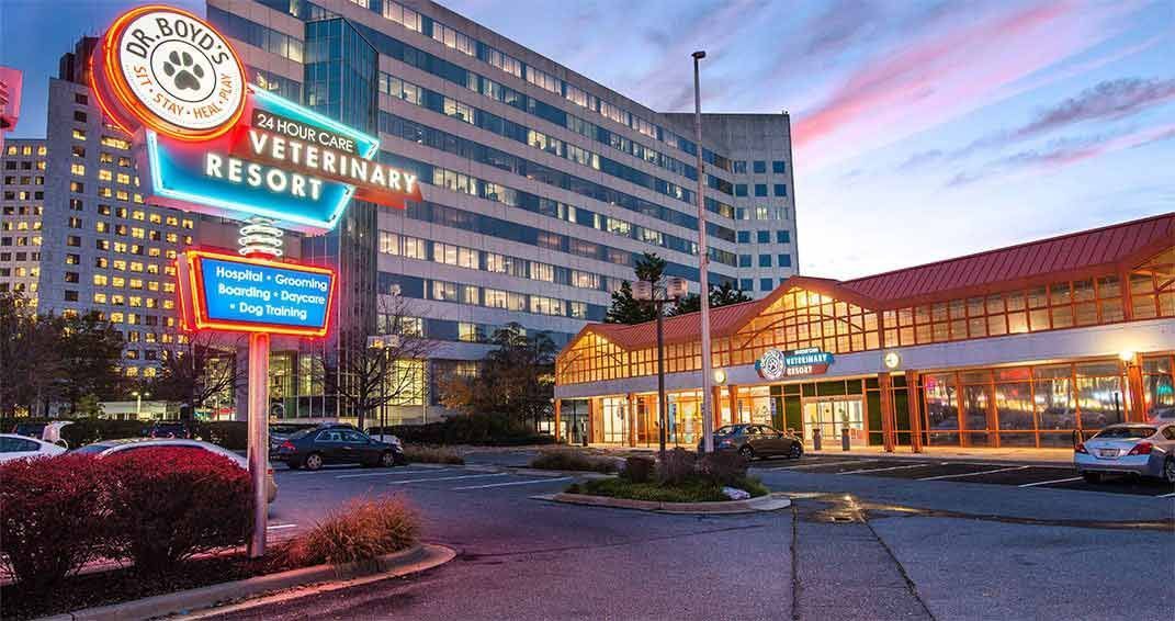 Pet Resort Neon Sign